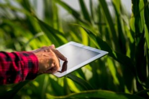 Leia mais sobre o artigo Os gigantes digitais e o novo cenário dos insumos agrícolas