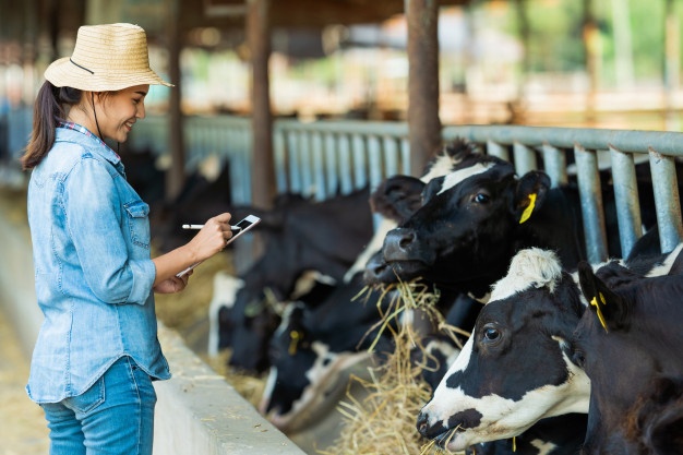 Você está visualizando atualmente Evento Open Farm 2020 ocorre nesta quinta-feira (22)