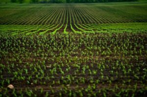 Leia mais sobre o artigo O agro merece um novo olhar