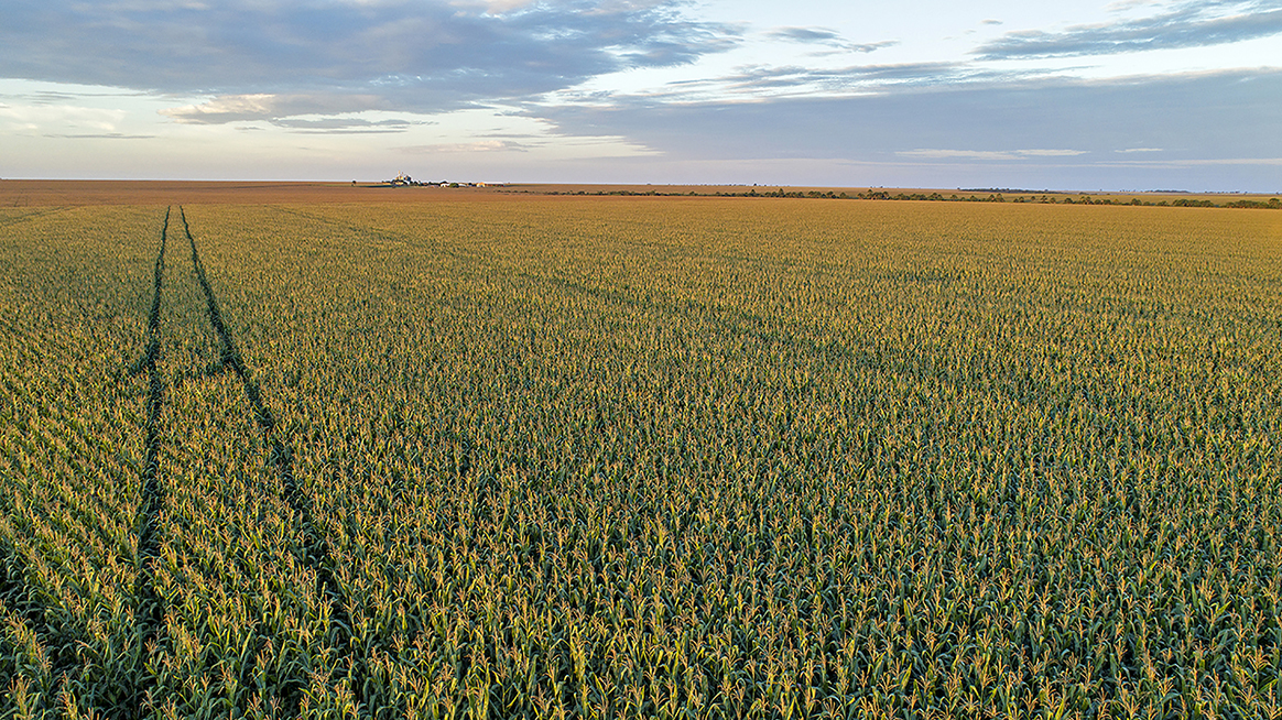 Leia mais sobre o artigo Segurança alimentar desafia grandes regiões do agro brasileiro a produzir mais e melhor