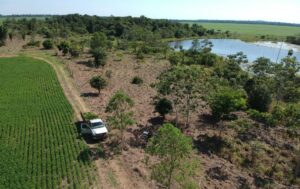 Leia mais sobre o artigo Movida trabalha no reflorestamento do corredor de biodiversidade do Rio Araguaia