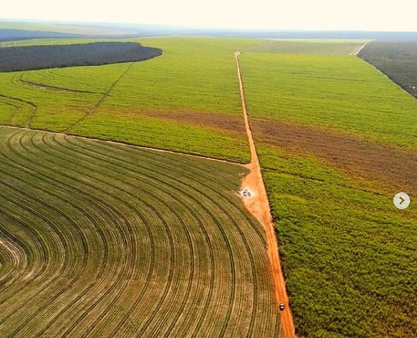 Você está visualizando atualmente Alta das commodities estimulam investimento em novas áreas de produção rural