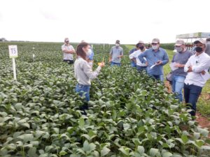 Leia mais sobre o artigo Fundação MT em Campo Safra acontece durante cinco dias em três regiões de Mato Grosso