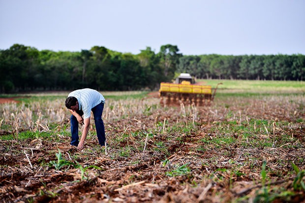 Leia mais sobre o artigo Área de soja convencional deve crescer na safra 2022/23 em Mato Grosso