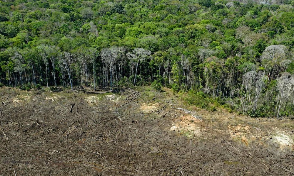 Leia mais sobre o artigo Desmatamento na Amazônia em 2023 pode passar dos 11 mil km² se seguir o ritmo atual, estima PrevisIA