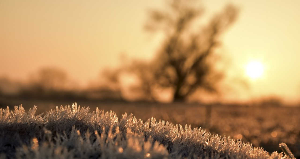 Leia mais sobre o artigo Frio traz risco de geadas menos abrangentes a lavouras