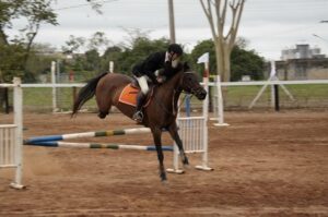 Leia mais sobre o artigo Expoagro sedia prova de hipismo