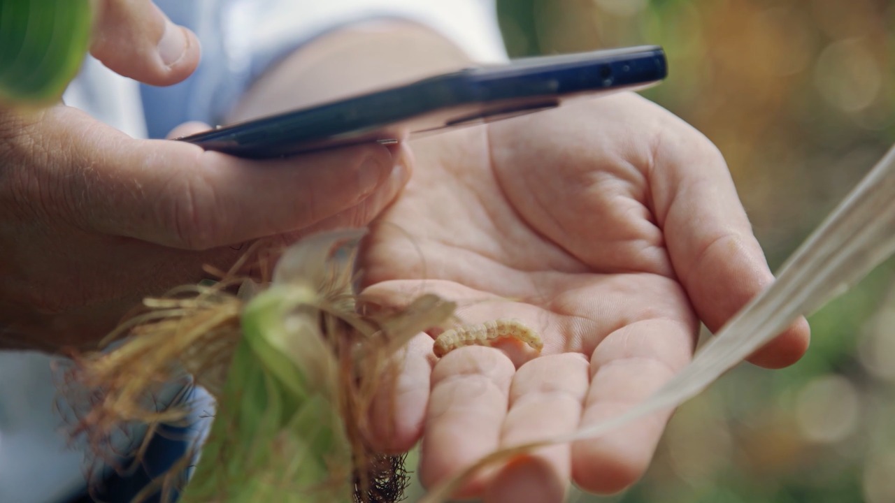 Leia mais sobre o artigo Agtech monitora 5 milhões de hectares ativos e mira expansão no Brasil