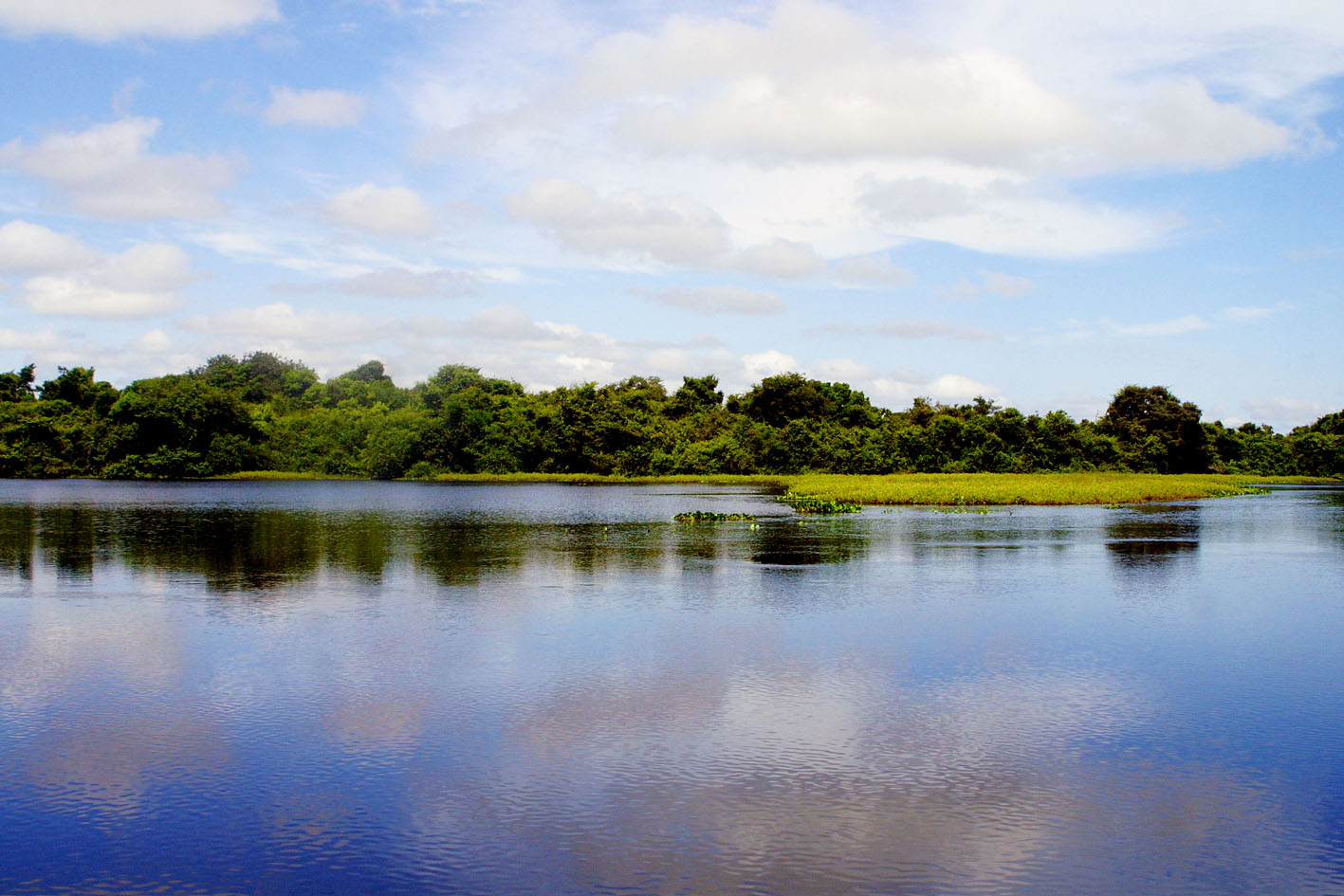 Leia mais sobre o artigo Mato Grosso e Instituto de Pesquisa do Pantanal reforçam parceria