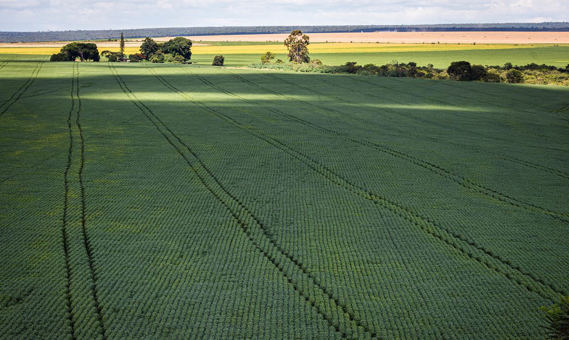 Leia mais sobre o artigo Estudo aponta desafios do seguro rural em meio a mudanças climáticas