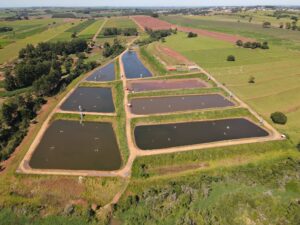 Leia mais sobre o artigo Biosoluções para tratamento de tanques são destaques aos aquicultores