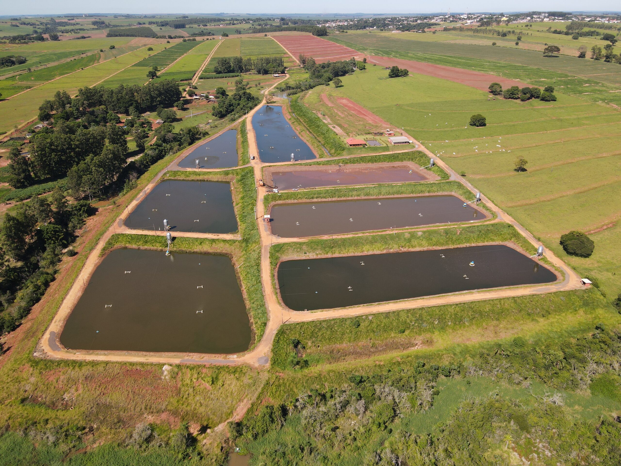 Leia mais sobre o artigo Biosoluções para tratamento de tanques são destaques aos aquicultores