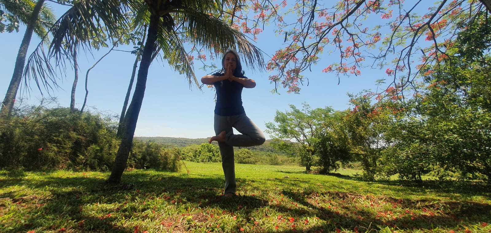 Leia mais sobre o artigo Pousada do Parque, em MT, oferece práticas de Yoga, alimentação saudável e contato com a natureza 