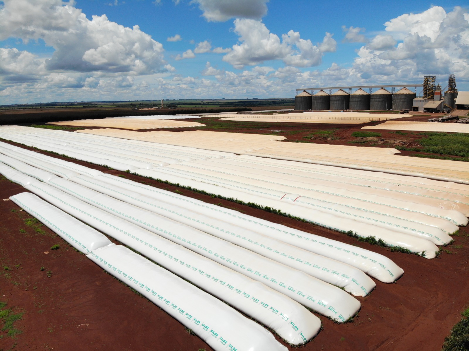 Leia mais sobre o artigo Planejar a armazenagem da produção deve começar antes do plantio