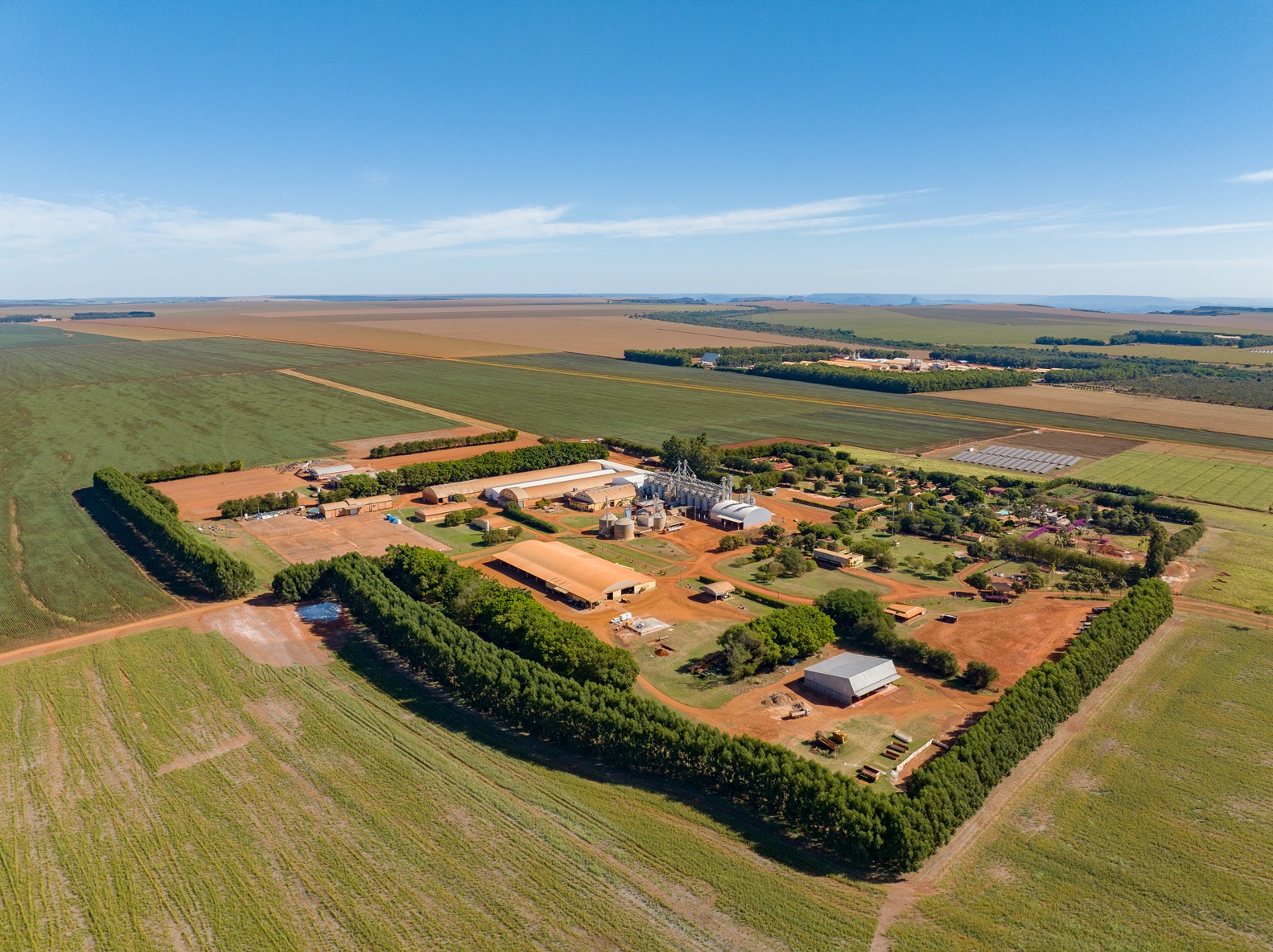 Leia mais sobre o artigo Sementeira de Mato Grosso é a única do segmento no ranking agro de médias empresas do GPTW