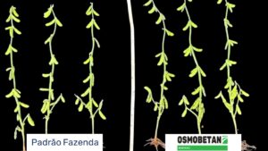 Leia mais sobre o artigo Tecnologia inédita da DVA aumenta produtividade da soja e do trigo