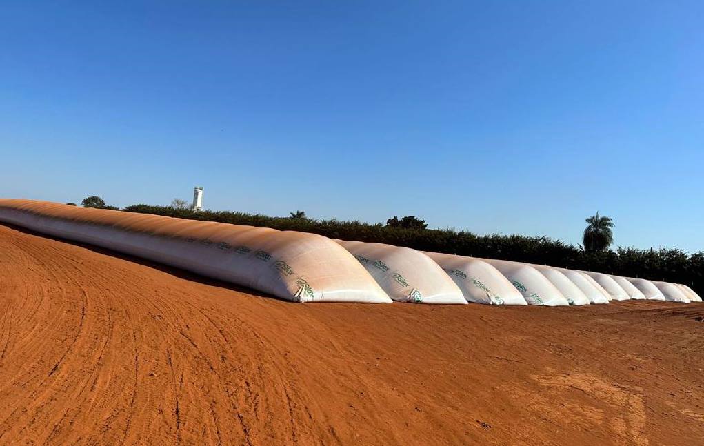 Leia mais sobre o artigo Venda recorde de silo-bolsa ajuda a amenizar o déficit de armazenamento no Brasil