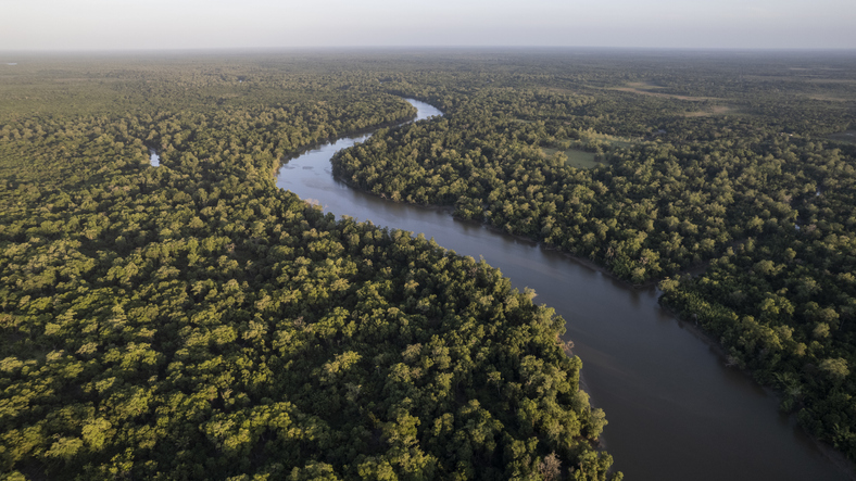 Você está visualizando atualmente Mato Grosso sedia 1º Encontro de Identificadores Botânicos